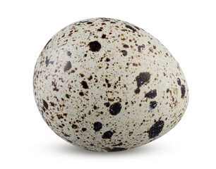 Quail egg speckled and textured isolated. Small partridge egg on white background
