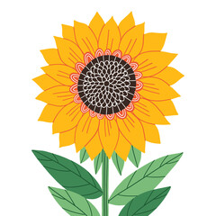 Beautiful abstract sunflower, isolated vector illustration