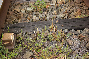 日本の田舎らへんにある、電車の線路です。
心なしか趣があります。