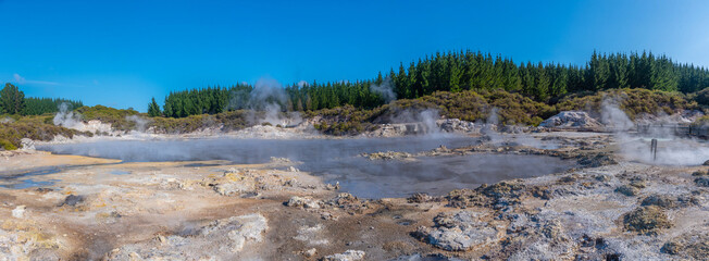 Hell's Gate Geothermal Reserve in New Zealand