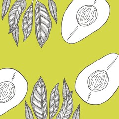 Avocado Design template for postcards. Collection of hand-drawn flowers and plants. Tropical plant. Botanical illustrations in the engraving style.
