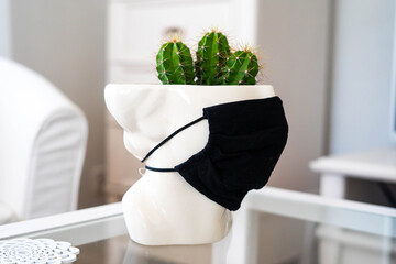 Head - flowerpot - with cactus and proctective mask