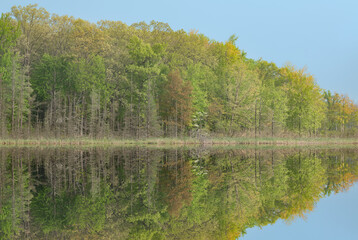 Spring landscape of the shoreline of Deep Lake with mirrored reflections in calm water, Yankee Springs State Park, Michigan, USA