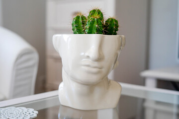 Head flowerpot with cactus on the top - interior trends