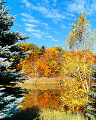Fototapeta na wymiar Autumn Pond