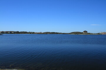 view of a lake in the summer