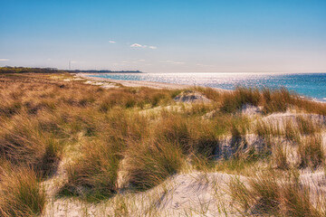 Landschaft in den Dünen an der Ostseeküste auf dem Fischland-Darß
