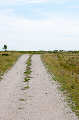 Fototapeta na wymiar Dirt road in open grass landscape