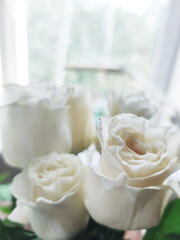 white roses in a vase