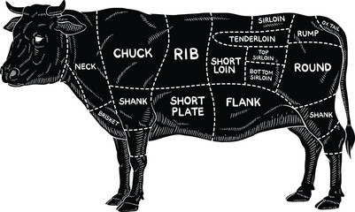 Vector Black Beef Meat Cuts Diagram