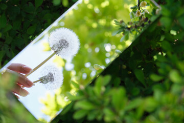  abstraction. in the mirror are female hands, dandelions sky. green nature around. close-up - 355468870