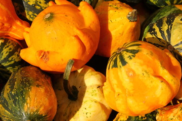 pumpkins