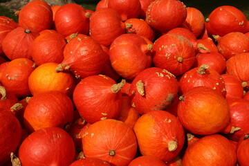 pumpkins