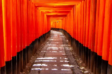 Fototapeten Fushimi Inari Senbon Torii © Minase