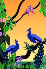 peacocks sit on the branches of an exotic plant at sunrise or sunset 