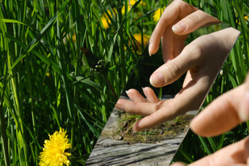 abstraction. in the mirror are female hands, dandelions sky. green nature around. close-up - 355471654