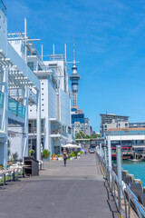 Sky tower view from waterfront of port in Auckland, New Zealand