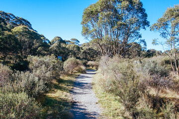 Thredo Valley Track in New South Wales Australia