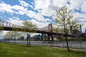 Fototapeta na wymiar Queensbridge Park along the East River with the Queensboro Bridge and Green Trees during Spring in Long Island City Queens New York