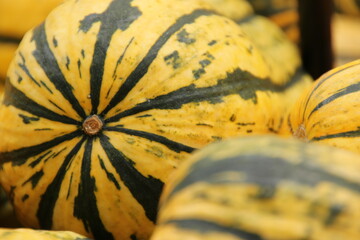 pumpkins with stripes and texture