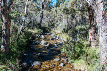 Thredo Valley Track in New South Wales Australia