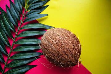 coconut