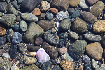 Pebbles at the sea floor