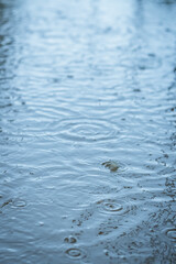 Raindrops falling in a puddle background