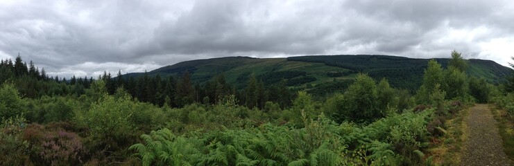 panoramic mountainous forest landscape view