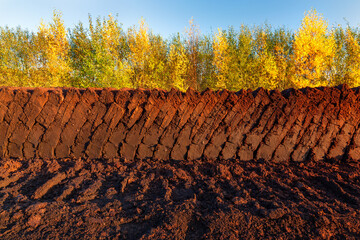 Rows of cutted peat in Northwestern Germany