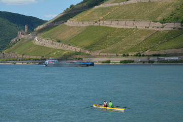 ruderer auf dem rhein bei bingen
