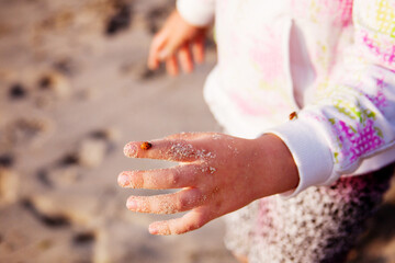 A small ladybug is sitting on the child's hand. A child's hand in the sand