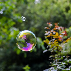Floating soap bubbles close up