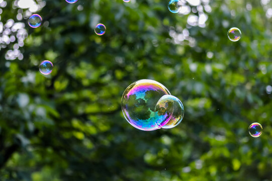 Floating soap bubbles close up - Powered by Adobe