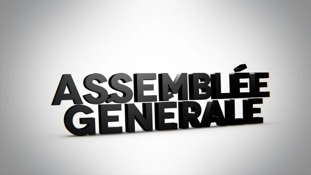 assembl&eacute;e g&eacute;n&eacute;rale 3D noir