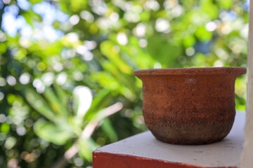 pot with flower