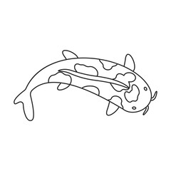 Carp vector icon.Line vector icon isolated on white background carp.