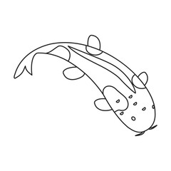 Carp vector icon.Line vector icon isolated on white background carp.