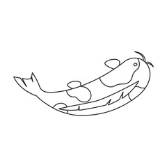 Carp vector icon.Line vector icon isolated on white background carp.