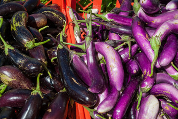 A variety of different types of eggplants all together at a market 