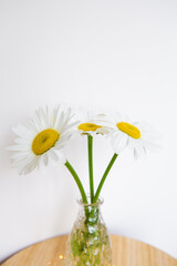 Daisies in vase on a old wooden table
