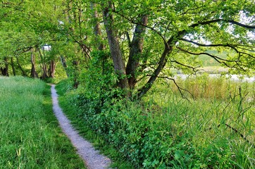 Wandern am Hauptwiler Weiher, Ostschweiz