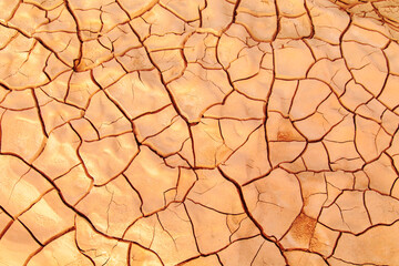 Cracked ground during a drought.