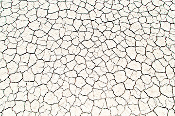 Cracked ground during a drought.