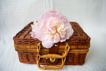 Fototapeta na wymiar Beautiful pink peonies lie on a wooden suitcase. Beautiful composition.