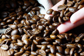 Woman hand holding a coffee beans and scattered on a wooden table