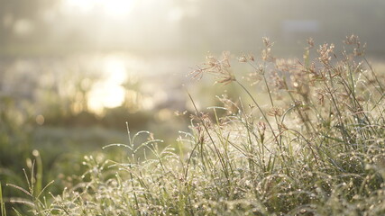Mountains during sunset. Beautiful natural landscape in the summer time
