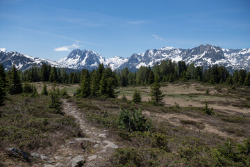 Obraz premium Alpine mountains, meadows and forests on a background of blue sky with clouds.