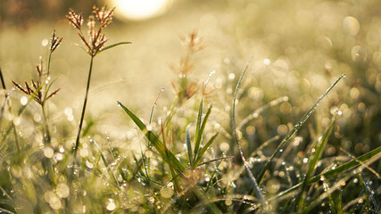 Mountains during sunset. Beautiful natural landscape in the summer time