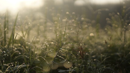 Mountains during sunset. Beautiful natural landscape in the summer time